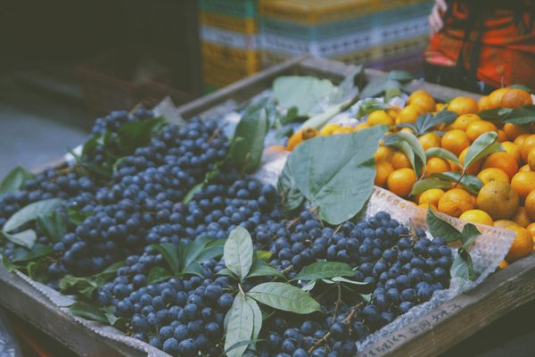 Quelles sont les réglementations et les normes liées au haccp en ligne ?